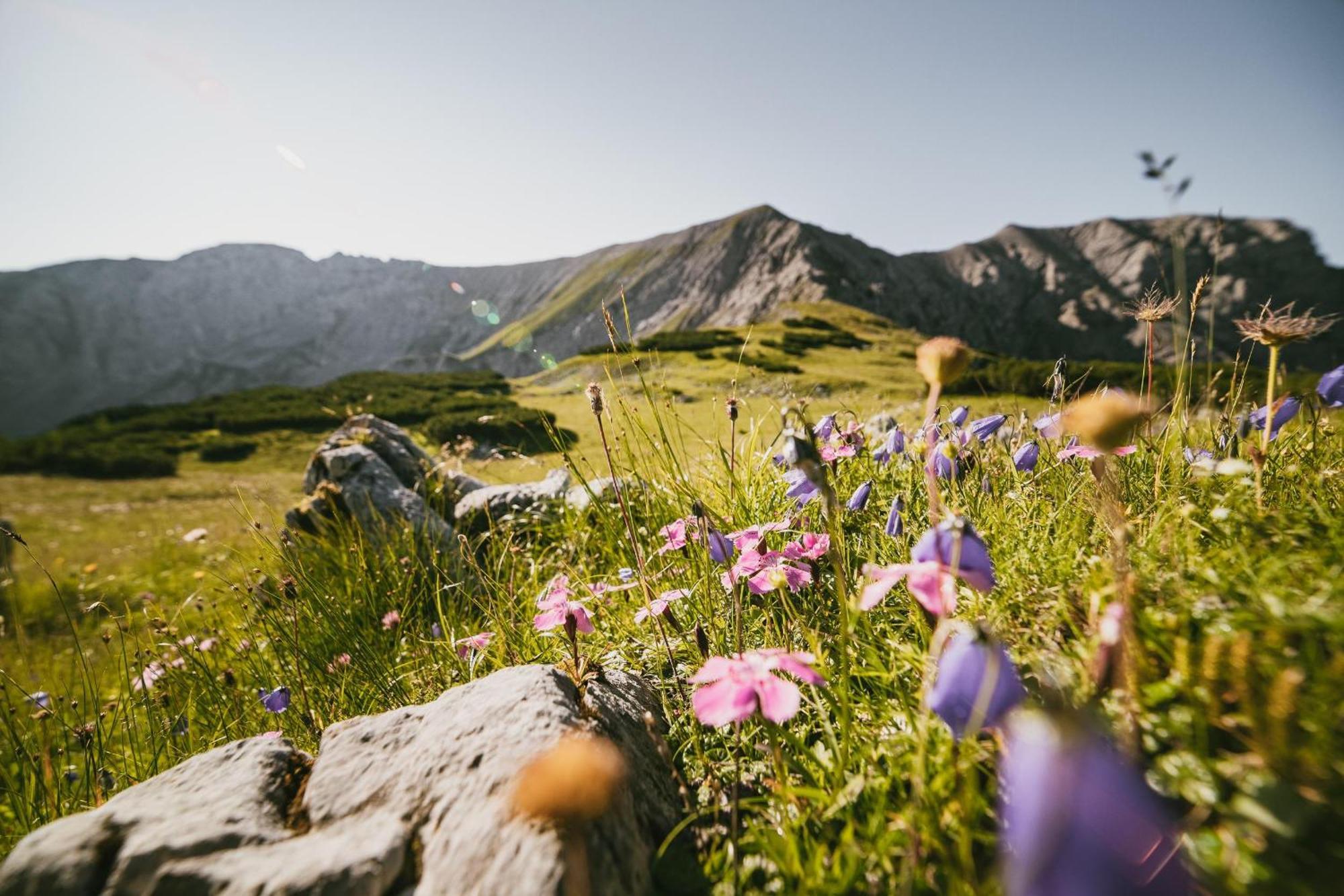 Triforet Alpin Resort Hinterstoder Exterior foto